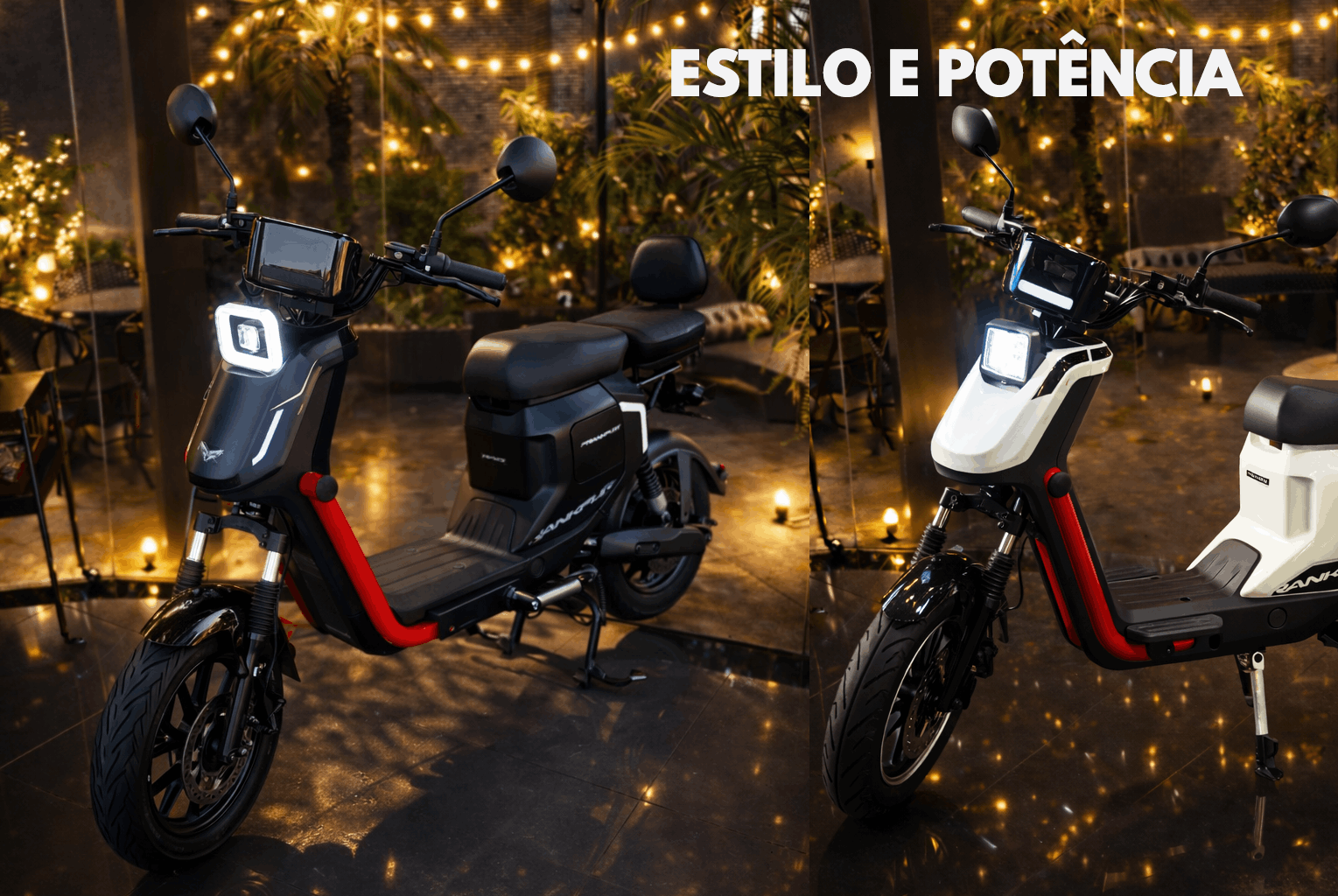ESTILOSA (1)